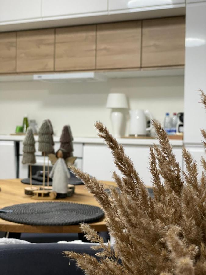 Forest Studio Druskieniki Zewnętrze zdjęcie
