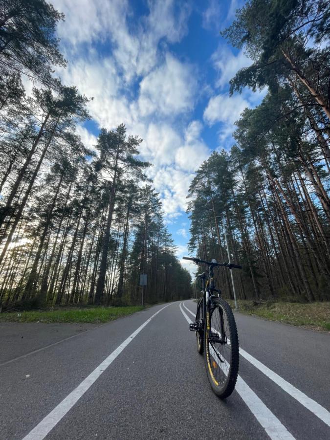Forest Studio Druskieniki Zewnętrze zdjęcie